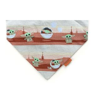 The Child - Pet Scarf