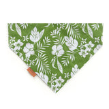 Wayfinder - Pet Scarf